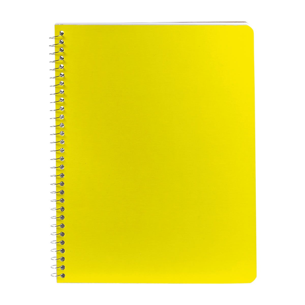 Cuaderno Profesional